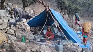 Best Life of Nomadic Shepherd | Cold Winter Days & Cooking