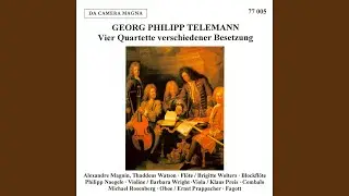 Concerto &agrave; 4 in G Minor, TWV 43:g4