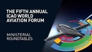 #IWAF2019 Ministerial Roundtable 1 - Policy and Business Models for Innovation