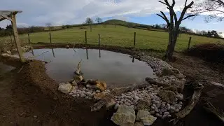 The wildlife pond and bog garden 1   HD 1080p