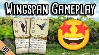 Common Moorhen Showcase! | Wingspan Gameplay