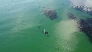 Rumbo al &uacute;ltimo faro del continente: Toninas, monta&ntilde;as y bosques.