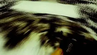 neb does a coldbhop jump