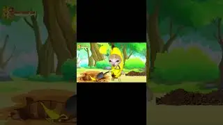 Treasure Hunt | The Funny Cat Cartoon