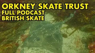 Skate: The Facts ft Orkney Skate Trust