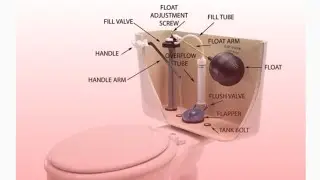 Plumbing. Toilet flapper installation. 