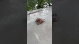 Ponding method of curing of slab #civil #civilengineering #ytshorts