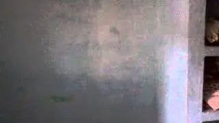 Magiic wallll