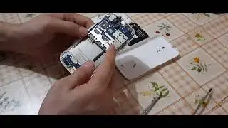 40. Телефон fly IQ239. Phone fly IQ239.