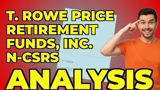 My Insight from T Rowe Price Retirement 2005 Fund's Report