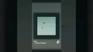 Top Tracks for Creators #5