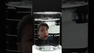 #science #chemistry #experiment #scienceexperiment #physics #funny #animal #animals #auto  #fyp