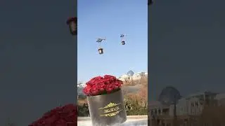 Montago Flowers 3d