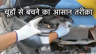 🐭Protect your car from Mouse|| but Don't worry Punch Owners