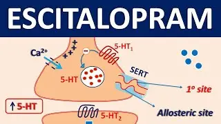 Escitalopram (Lexapro) - Mechanism, precautions, side effects & uses