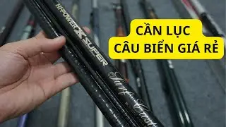 🔥 Cần Lục – Câu Biển Nhật Bãi | Daiwa – Shimano Hàng Đẹp – Giá Siêu Rẻ 🎣
