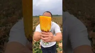 Fresh pineapple cutting skills eating with rural farming life #trending #shorts #2025