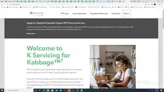 How to do the Income Statement for PPP and EIDL