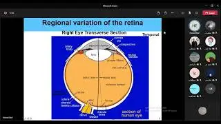 Visual process - Light and dark adaptation - Reticular activity system |CNS module |Dr Omima Galal 