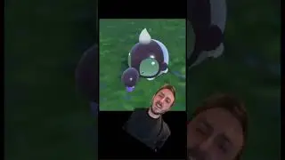 So THATS why the Pok&eacute;mon Shroodle looks like that?