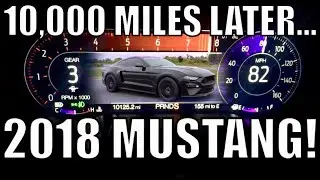 TRANSMISSION ISSUES in the NEW 2018 MUSTANG GT plus 10k Miles Update!!!