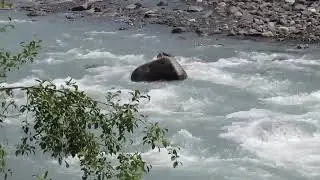 White River at the east side of Federation Forest State Park.