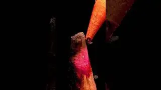 Colored pencils use pigments and binders such as wax or oil to create color 