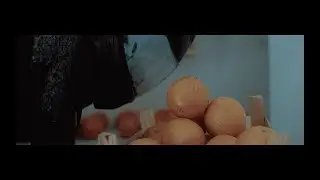 Månskensbonden - Släkt i var och varannan gård