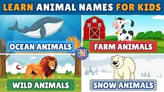 Learn Animal Names for Kids: Ocean Animals, Farm Animals, Wild Animals & Snow Animals