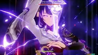 Raiden Ei VS Everlasting Lord of Arcane Wisdom