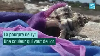 La pourpre de Tyr&nbsp;: une couleur qui vaut de l&rsquo;or #CulturePrime