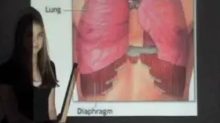 Sneeze Reflex