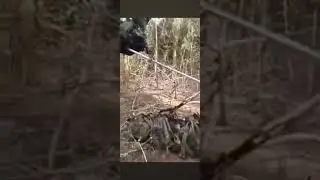 Extracci&oacute;n de tropas del ejercol Fuerza especial Tundra