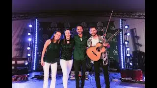 It's All Your Fault - The Fitzgeralds