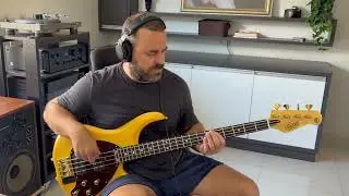 Woman in Chains - Tears for Fears - “BASS COVER”