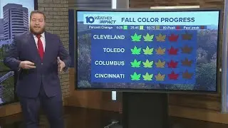 Fall foliage: Where to view peak fall colors