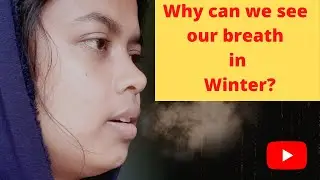 Why do we see our breath on a cold day?
