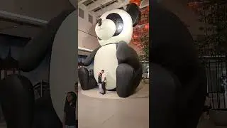 Meet the Giant Panda at Chinatown, Dubai Mall &ndash; The Cutest Photo Spot!