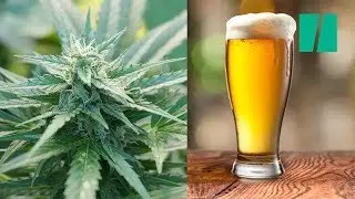 Would You Try Cannabis Beer?