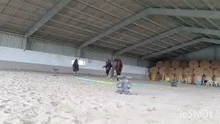 Equifeel Virtuel Cavalgo Edition 2026 - Club 1 - Manche 1 - Diamant d&acute;Idef et Emmanuelle R&eacute;glain 