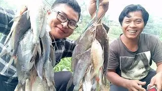 Kwalahan Mancing ikan keting di sungai cisadane lihat hasilnya