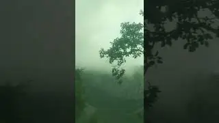 #travel #tranding #train #mumbai #music #rain #kerala #subscribe #viratkohli #viral #mountains