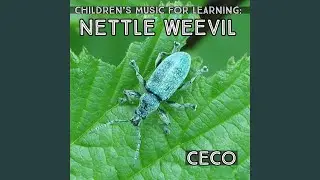 Children's Music for Learning: Nettle Weevil