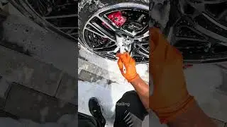 POV: You're detailing a R8 #automobile #autorepair #autodetailing #carcare #detailing #detailingwork