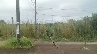 【20250920🔽磐越西線】37馬下(まおろし)〜38猿和田(さるわだ)
