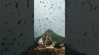 Heritage place , Alwar, Rajasthan