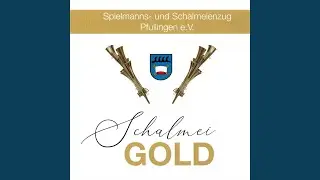 Fluch Der Karibik: One Last Shot / The Medallion Calls / Barbossa Is Hungry / The Black Pearl