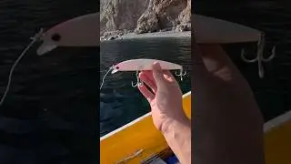 How to Catch Cabrilla!