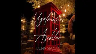 Talha Se&ccedil;gin - Ud Taksimi (Official Audio)