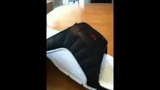 Jordan sandals Retro 12 playoff